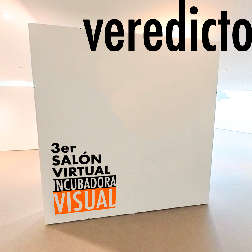 Veredicto 3er Salón Virtual Incubadora Visual